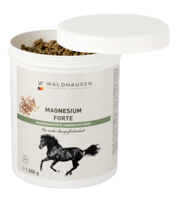 Magnesium Forte -Waldhausen