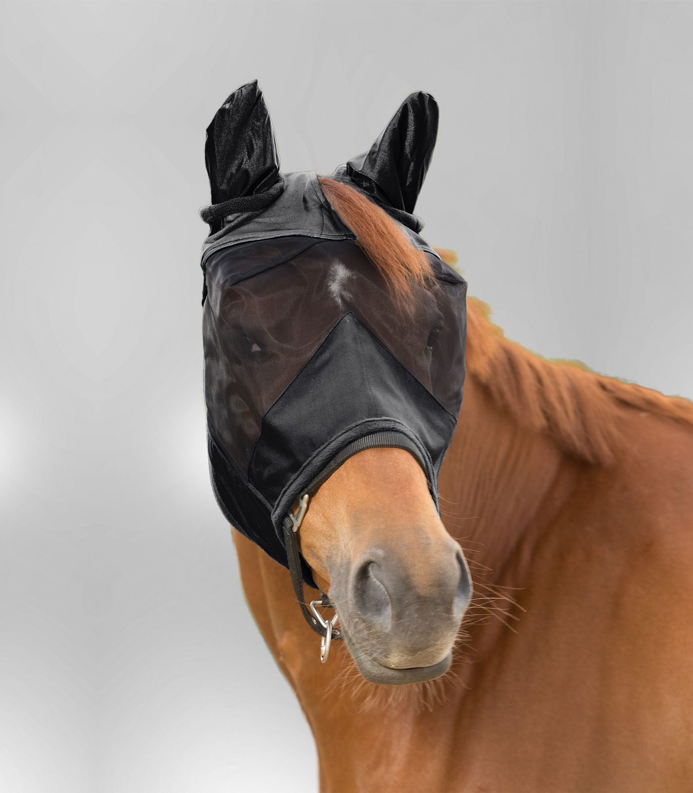 maschera antimosche nero waldhausen Premium