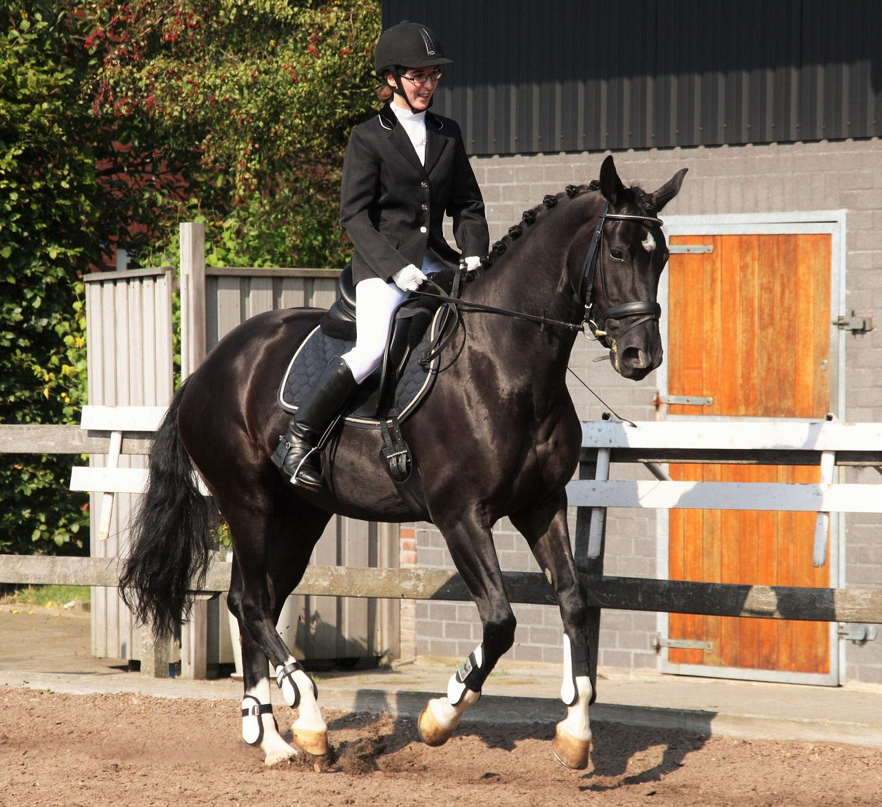 SOTTOSELLA DRESSAGE