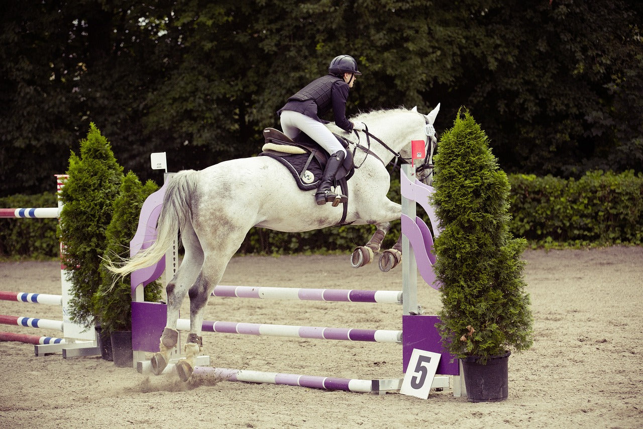 SELLE DA SALTO