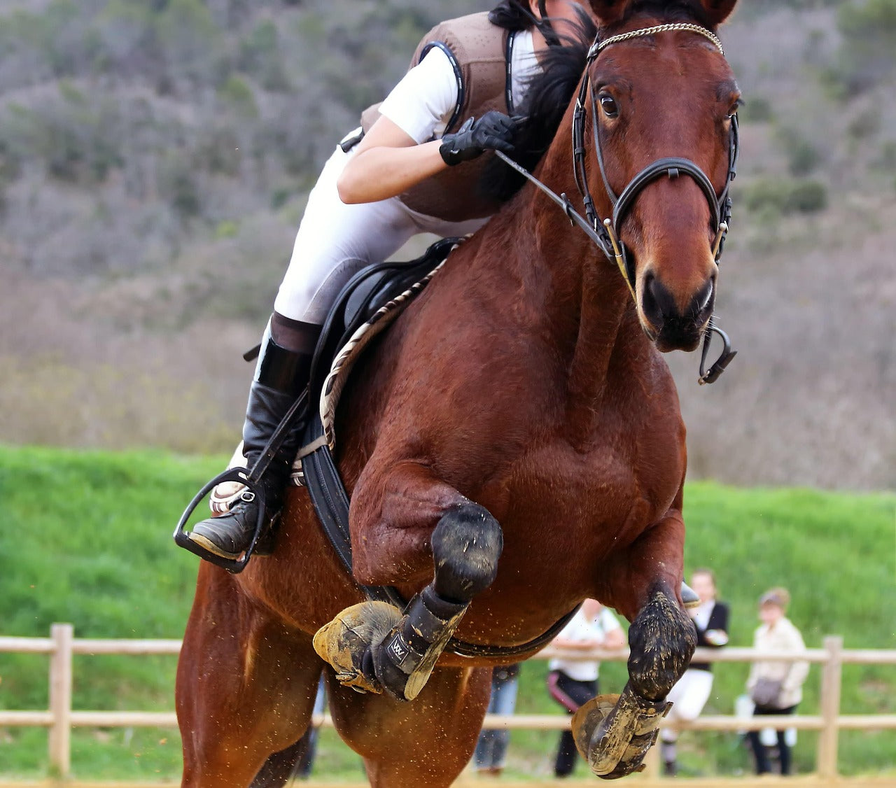 PARASTINCHI & STINCHIERE
