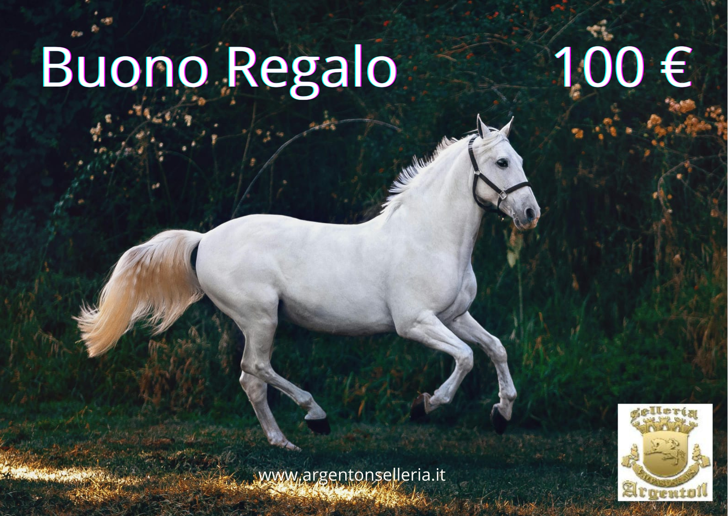 Gift Card (Buono Regalo) - Selleria Argenton