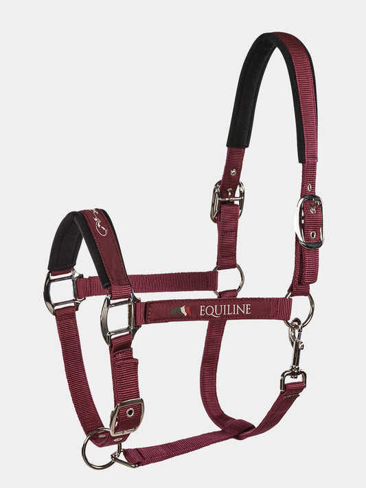 capezza Equiline Bordeaux modello Timmy