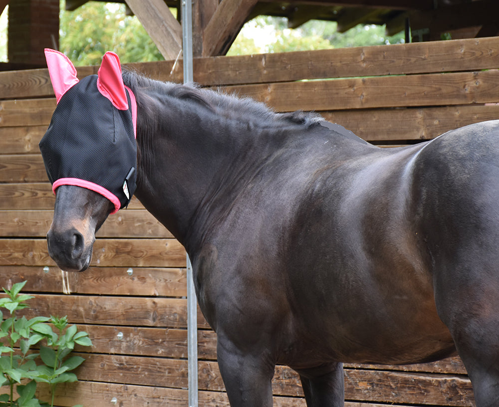 Maschera antimosche Flywing Love Horses