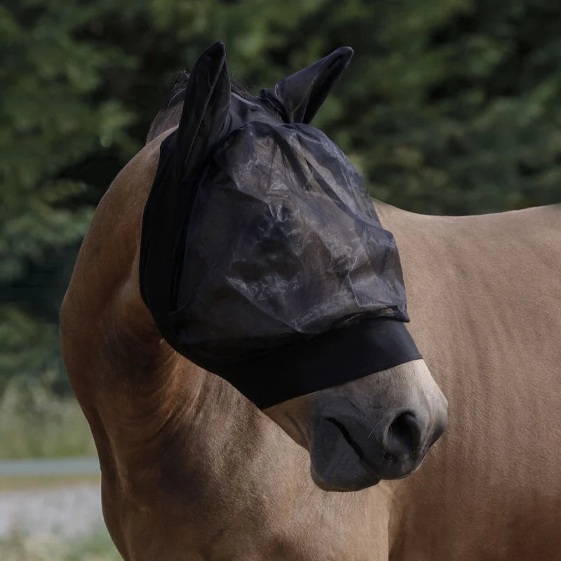 maschera su cavallo